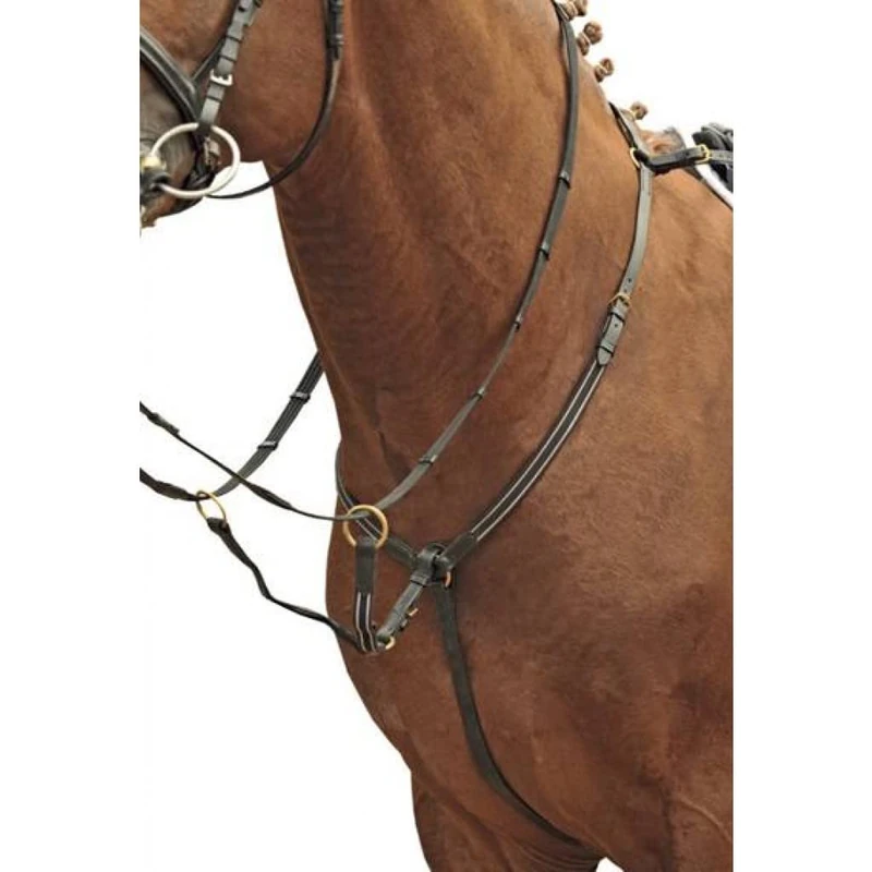 HKM 557946 Breastplate with Martingale Gold Fittings M Brown