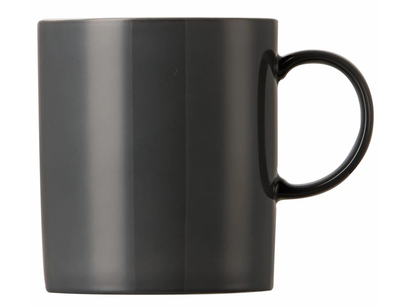 Thomas 10850-408532-15505 Sunny Day Grey Mug with Handle