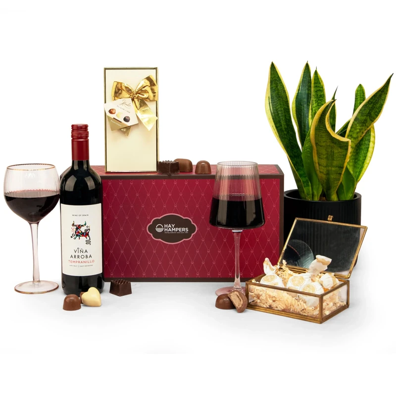 Red Wine & Chocolate Gift Hamper - Merlot Red Wine, Chocolates, Pralines – Birthday Gift for Men or Women, Present for Couples, Red Wine and Chocolate Hamper - by Hay Hampers