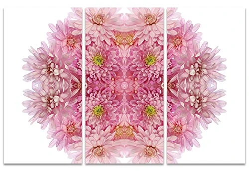 The Art Group "Pink Chrysanthemum Explosion Alyson Fennell Canvas Print, Multi-Colour, 10 x 150 x 1.3 cm