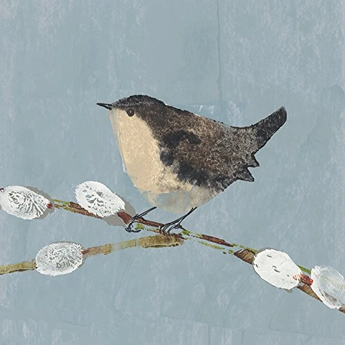 The Art Group "Wren Julia Burns Canvas Print, Multi-Colour, 60 x 60 x 1.3 cm