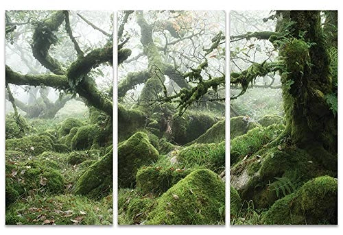 The Art Group "Wistman's Wood, Dartmoor David Clapp Canvas Print, Multi-Colour, 10 x 150 x 1.3 cm