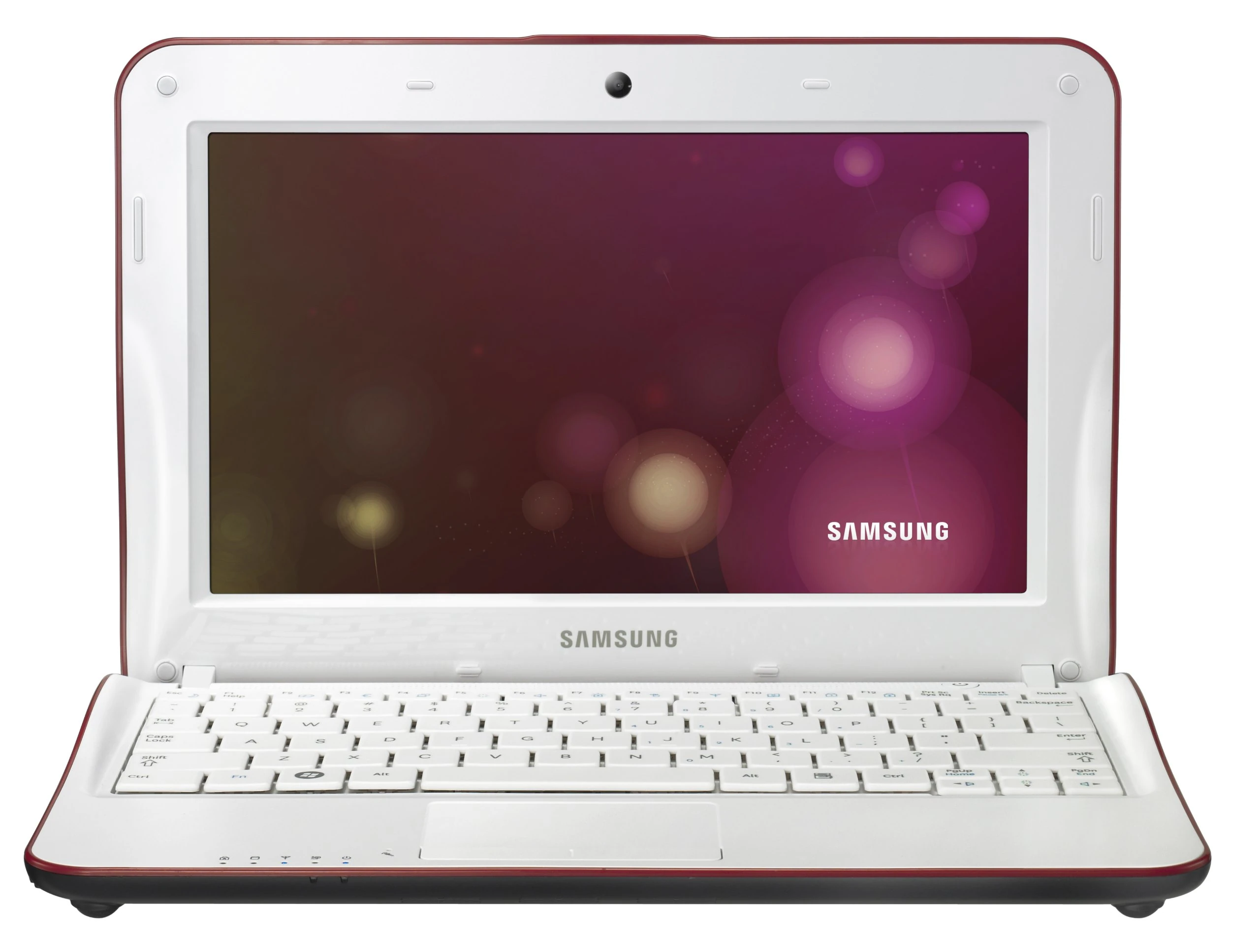 Samsung NF110 10.1 inch netbook (Intel Atom N455 1.66 GHz, 1Gb, 250Gb, WLAN, Webcam, Win 7 Starter) - Black/White