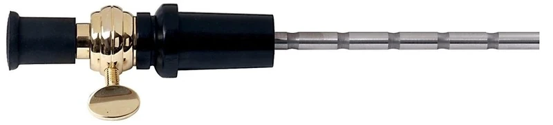 GEWA 414649 Double bass spike standard, spike for double bass, solid iron rod Ø 10 mm, length 45 cm, ebony bulb