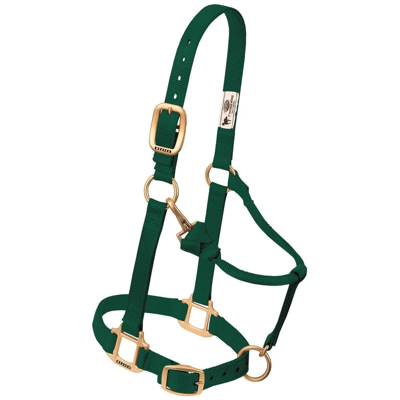 Weaver Leather Original Adjustable Nylon Horse Halter, Large Horse, Hunter Green
