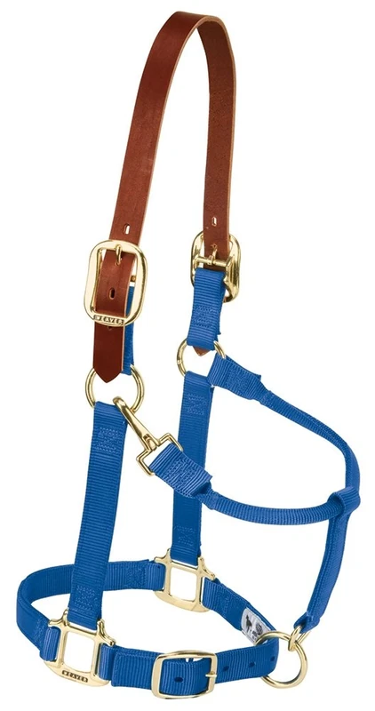Weaver Equine Nylon Adjustable Breakaway Horse Halter - Blue
