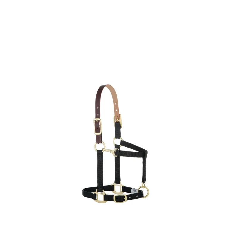 Weaver Equine Nylon Adjustable Breakaway Horse Halter - Small