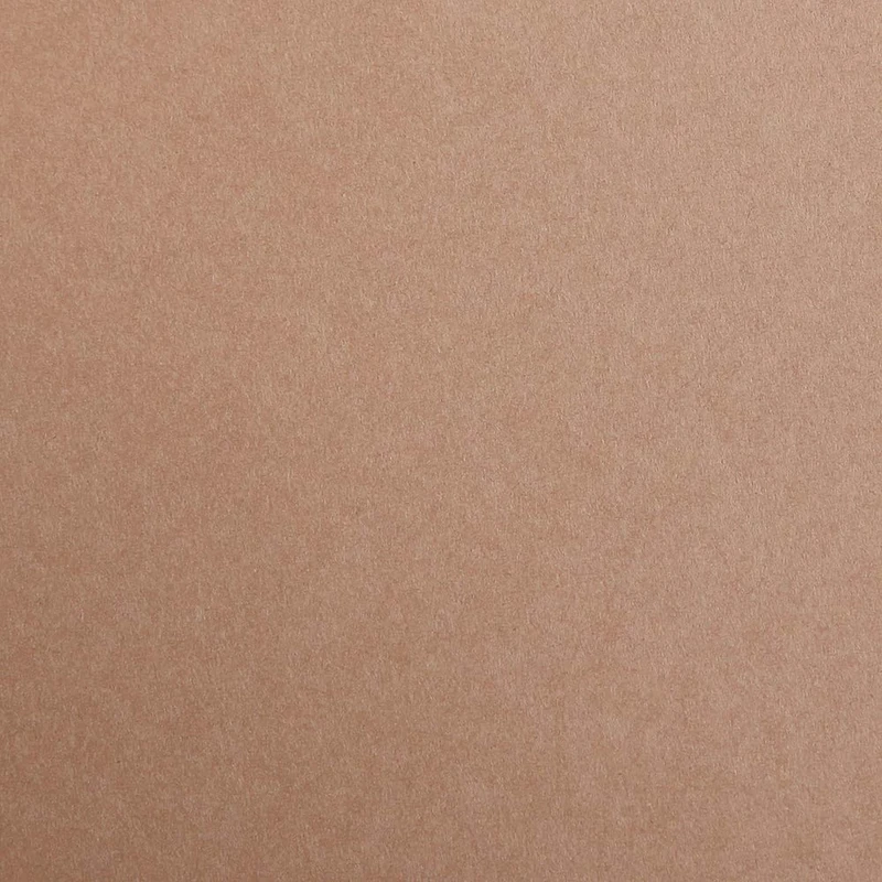 Clairefontaine - Ref 397274C - Maya Coloured Smooth Drawing Paper (Pack of 125 Sheets) - 270gsm Paper - 50 x 70cm - Light Brown Colour - Deep Dyed, Acid Free, pH Neutral