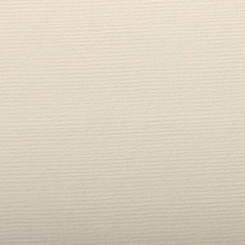 Clairefontaine - Ref 93503C - Ingres Pastel Coloured Paper (Pack of 25 Sheets) - 50 x 65cm, 130gsm Drawing Paper, Beige - Suitable for All Dry Techniques