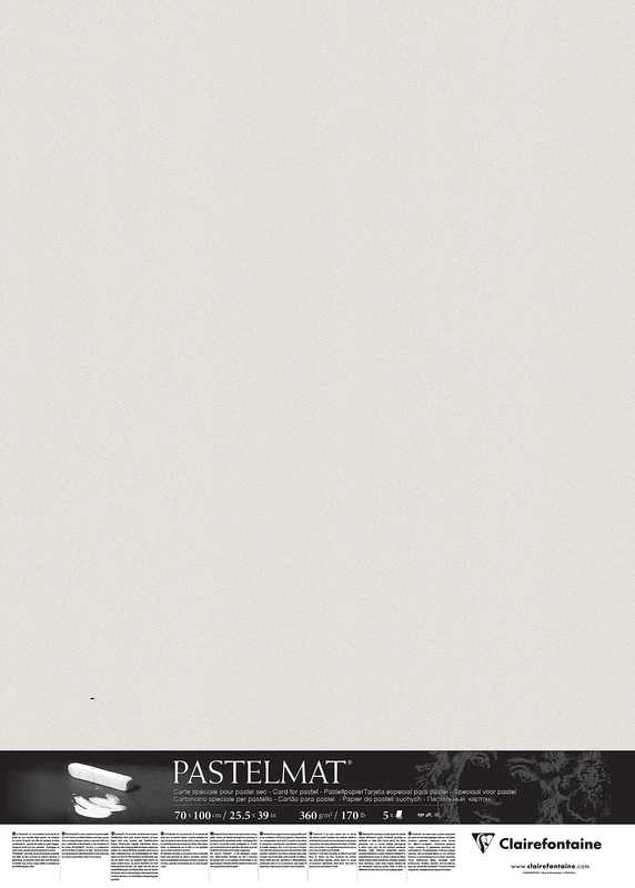 Clairefontaine - Ref 296020C - Pastelmat Card Sheets (Pack of 5 Sheets) - 360gsm Card - 70 x 100cm - Light Grey Colour - Specially Formulated For Use With Pastels