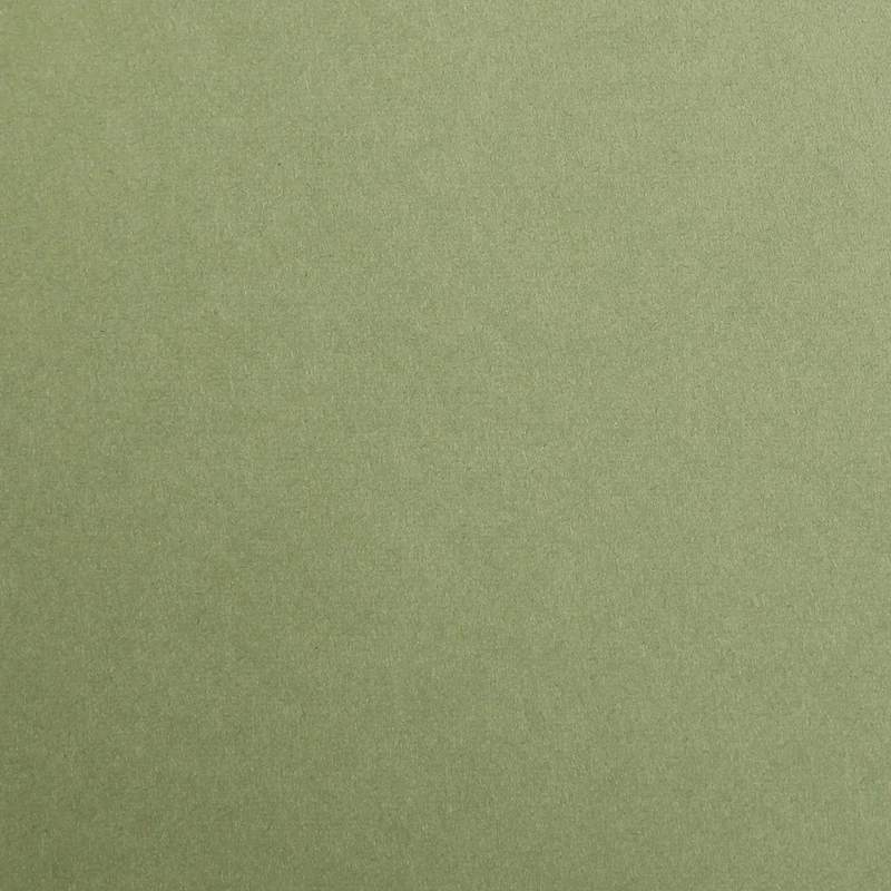 Clairefontaine - Ref 397170C - Maya Coloured Drawing Paper (Pack of 250 Sheets) - 120gsm Paper - 50 x 70cm - Khaki Colour - Deep Dyed, Acid Free, pH Neutral