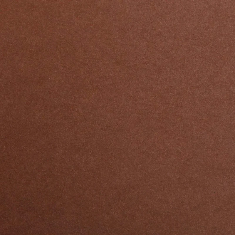 Clairefontaine - Ref 397161C - Maya Coloured Smooth Drawing Paper (Pack of 250 Sheets) - 120gsm Paper - 50 x 70cm - Brown Colour - Deep Dyed, Acid Free, pH Neutral