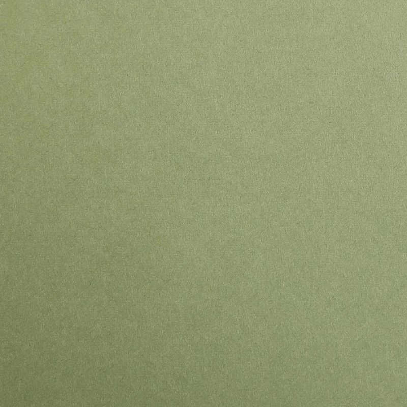 Clairefontaine - Ref 397270C - Maya Coloured Smooth Drawing Paper (Pack of 125 Sheets) - 270gsm Paper - 50 x 70cm - Khaki Colour - Deep Dyed, Acid Free, pH Neutral