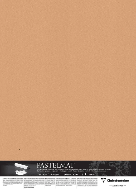 Clairefontaine - Ref 296012C - Pastelmat Card Sheets (Pack of 5 Sheets) - 360gsm Card - 70 x 100cm - Sienna Colour - Specially Formulated For Use With Pastels