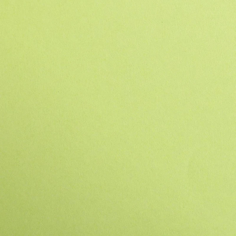 Clairefontaine - Ref 397252C - Maya Coloured Smooth Drawing Paper (Pack of 125 Sheets) - 270gsm Paper - 50 x 70cm - Moss Green Colour - Deep Dyed, Acid Free, pH Neutral