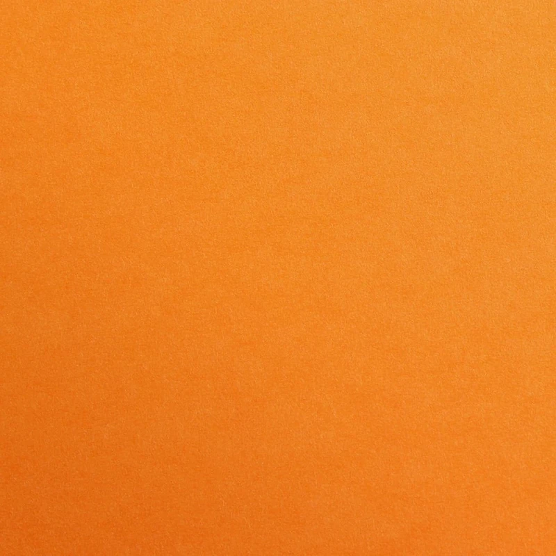 Clairefontaine - Ref 397266C - Maya Coloured Drawing Paper (Pack of 12 Sheets) - 270gsm Paper - 50 x 70cm - Pale Orange Colour - Deep Dyed, Acid Free, pH Neutral