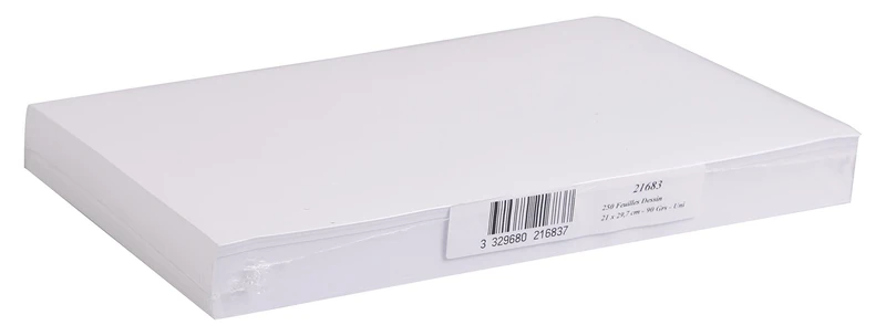 Clairefontaine - Ref 93734C - White Grained Drawing Paper (Pack 10 Sheets) - 75 x 110cm Sized, 224gsm Paper, White & Grained Drawing Paper, Acid Free, pH Neutral