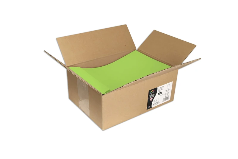 Clairefontaine 7055C Box of 200 Self-adhesive Pockets in Bulk 22,9x32,4cm 120g Intensive Green Invitation Event Correspondence Pollen Range Premium Smooth Paper