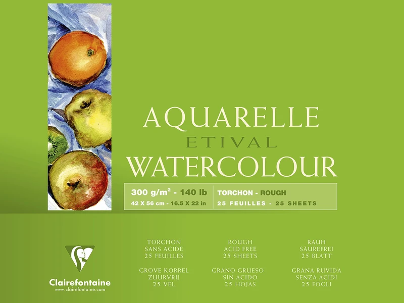 Clairefontaine - Ref 96464C - Etival Rough Grained Pad (25 Sheets) - 42 x 56cm Size, Acid Free, pH Neutral, 300gsm Paper - Suitable for Watercolour Artwork