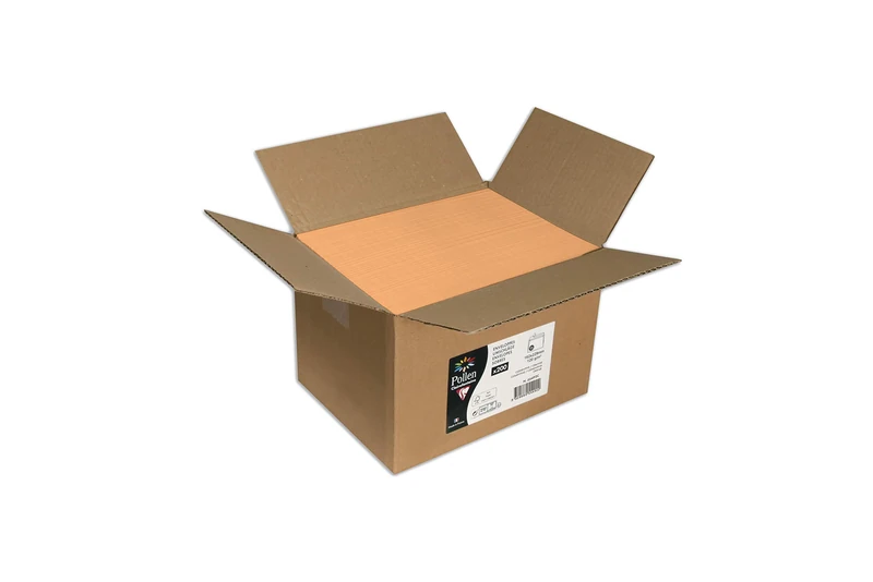 Clairefontaine 55492C Box of 200 Gummed Envelopes Format C5 (16,2x22,9cm) 120g/m² Orange Invitation Event and Correspondence Range Pollen Premium Smooth Paper