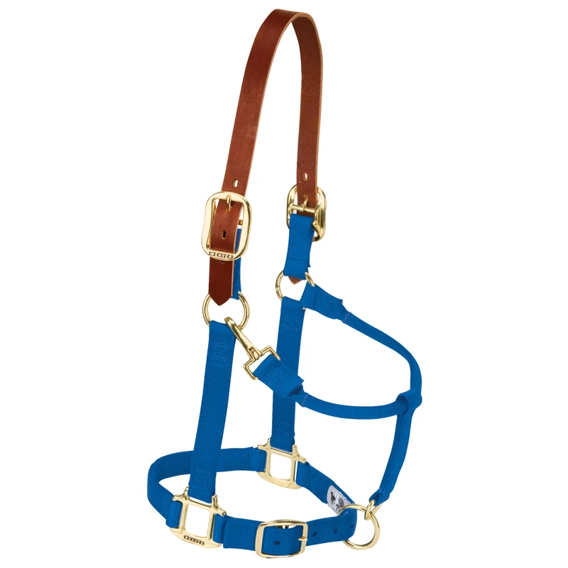 Weaver Leather Adjustable Breakaway Nylon Horse Halter, Blue, Weanling/Pony