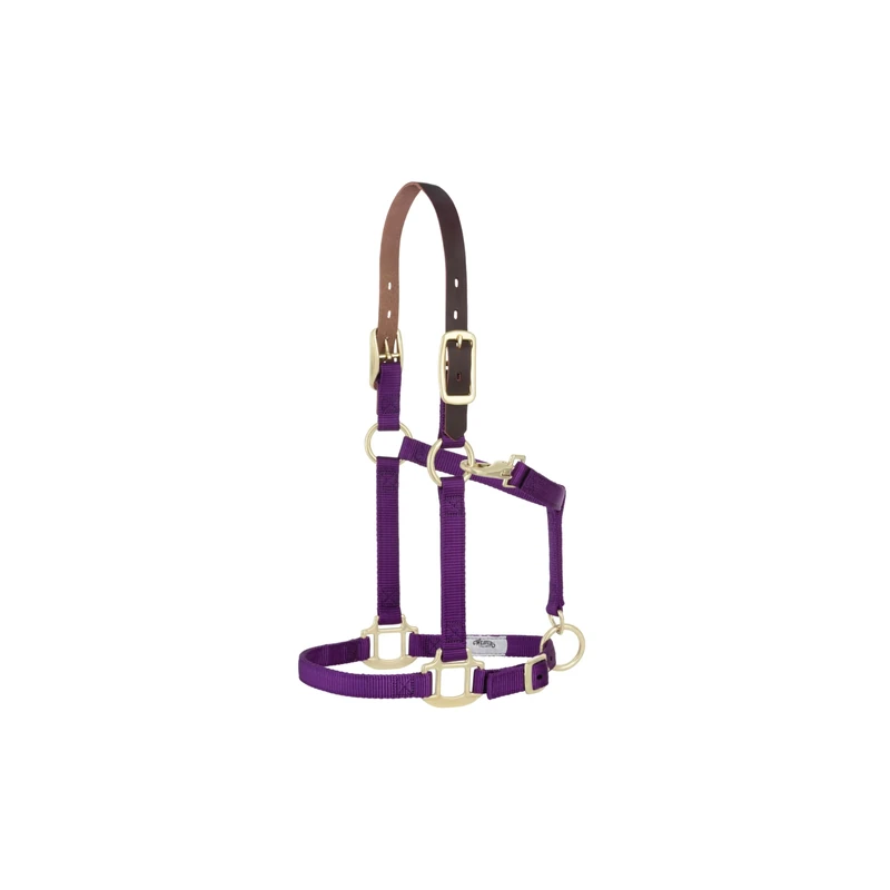 Weaver Leather Nylon Adjustable Breakaway Horse Halter, Small, Purple