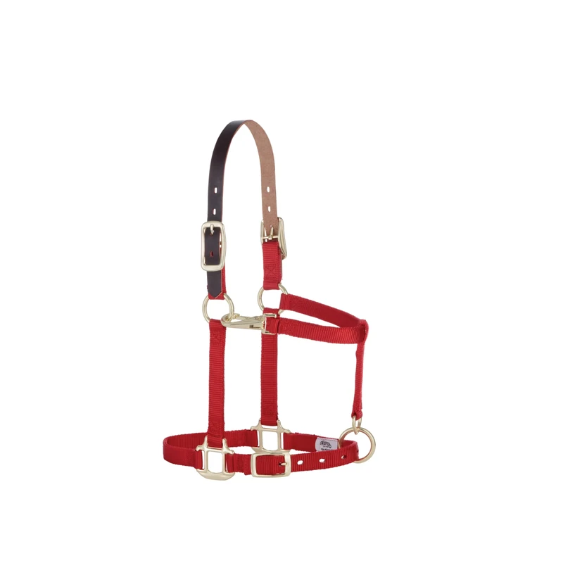 Weaver Leather Nylon Adjustable Breakaway Horse Halter, Small, Red
