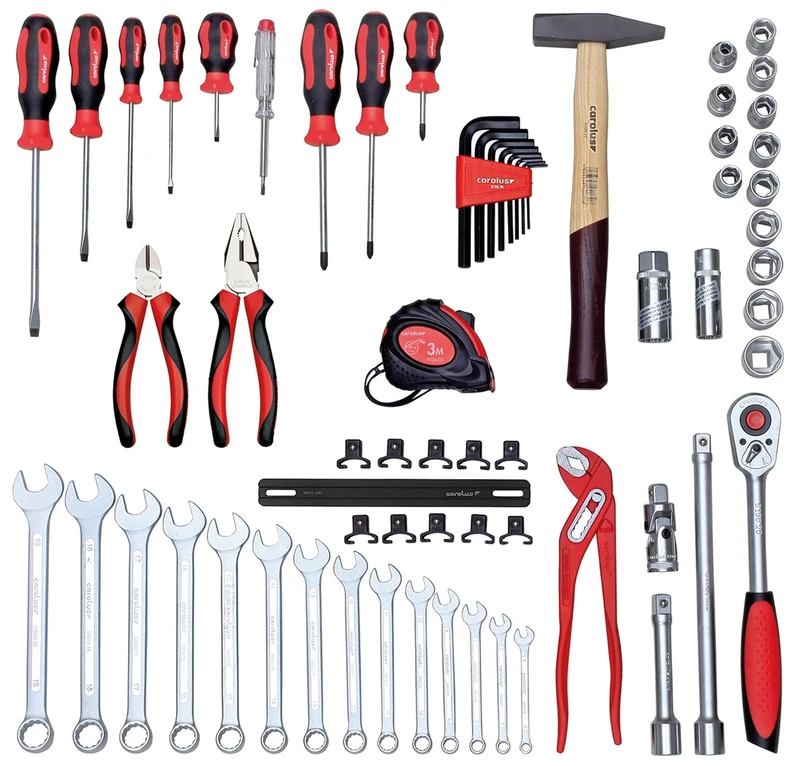Carolus Universal Wrench Set, 2200.020