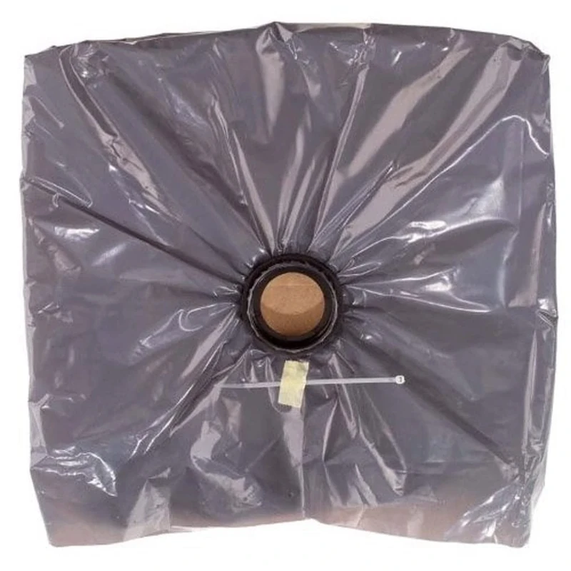 Festool 493776 FIS-SRH 45/5 Filter Bag