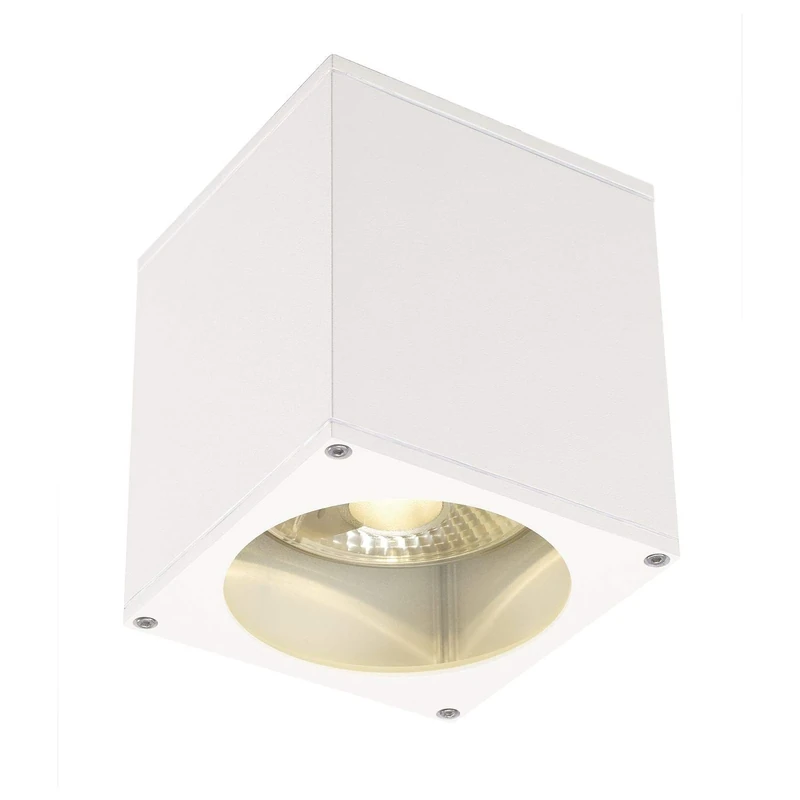 SLV Ceiling-Mounted Light Big Theo/Lighting for Walls, Paths, entrances, LED Spotlight Outdoor, Surface-Mounted Light Outdoor, Garden lamp, Ceiling Spotlight / GU10 IP44 75W White - Image 1