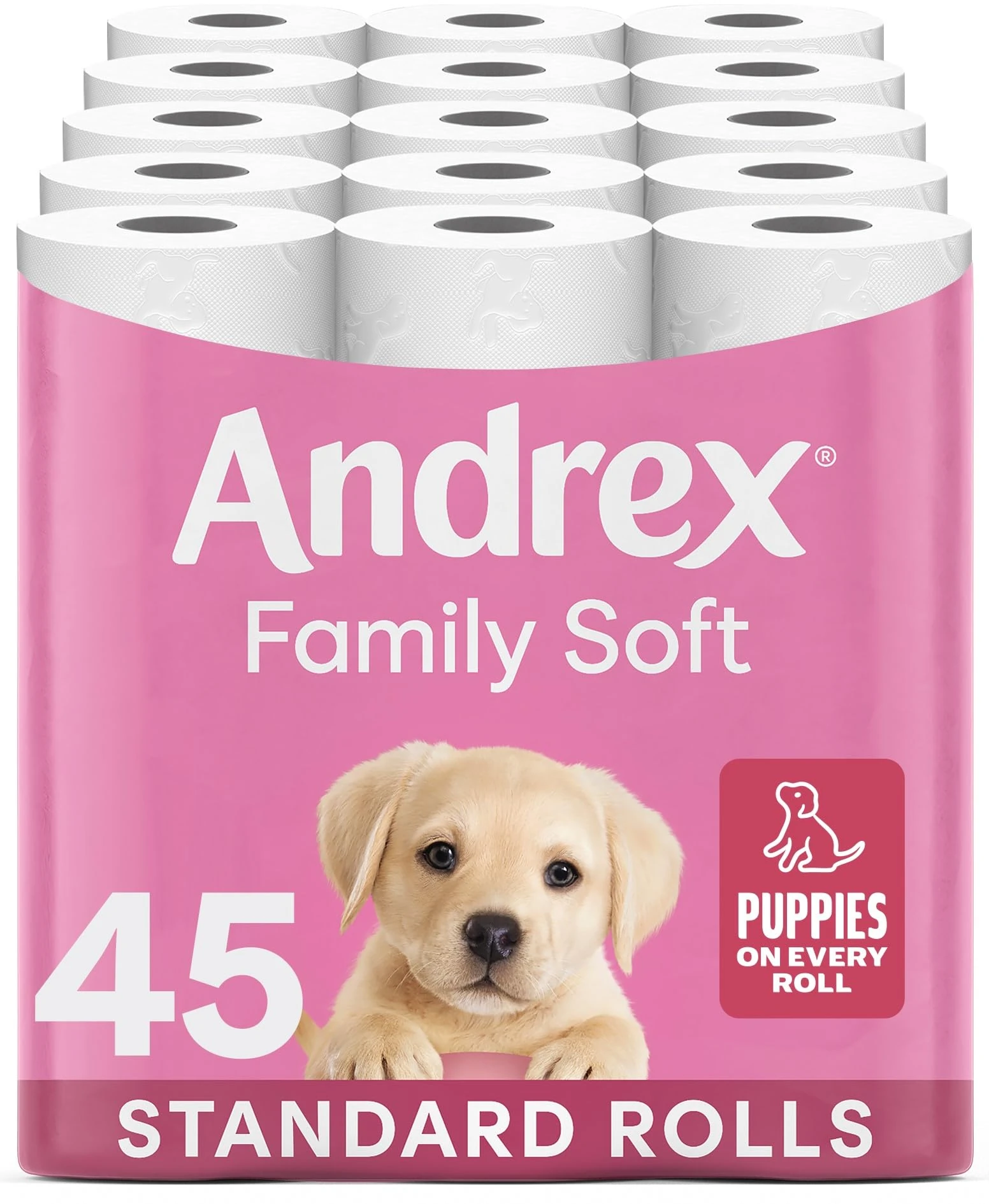 Andrex Family Soft Toilet Tissue 45 Rolls (Previously Andrex Gentle Clean) Gentle on your Family’s skin– Bulk Pack of 45 Toilet Rolls, FSC Certified