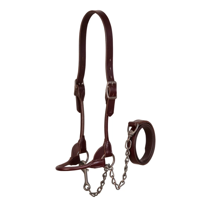 Weaver Leather Livestock Bombshell Show Halter