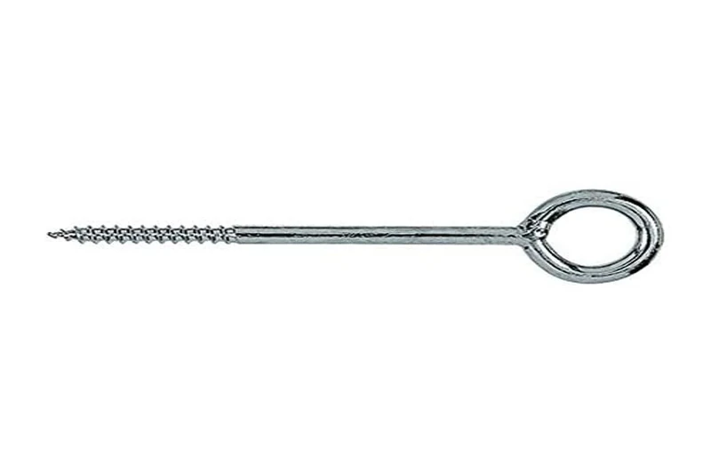 fischer Eye Screw GS 10 x 160, 20 Pieces, 80929