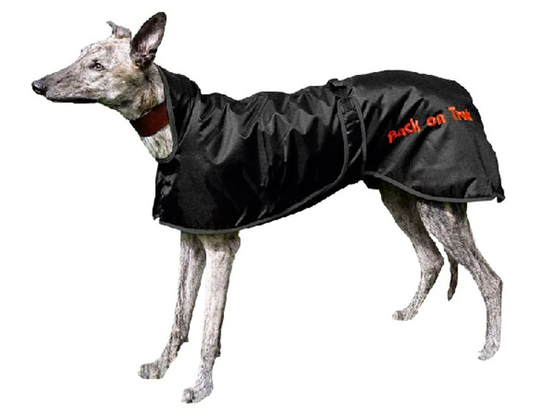 Dog Copenhagen Back-on-Track Greyhound Greyhound Dog Coat, Black, Size S