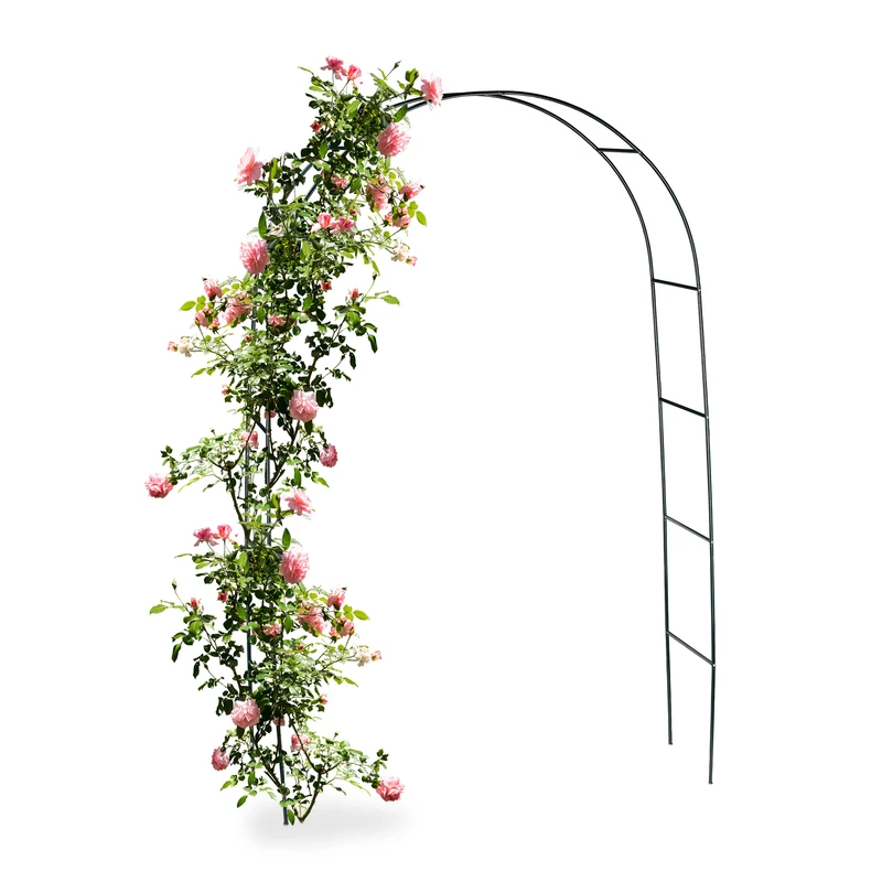 Relaxdays Metal Rose Arch, Growth Support for Climbing Plants, 240 x 140 cm, Dark Green