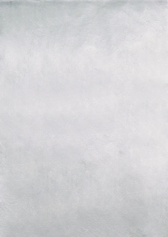 Clairefontaine - Ref 5GCC3241Z - Goldline Coloured Card (Pack of 25 Sheets) - 45 x 65cm in Size, 280gsm Card, Smooth to Touch, White Backing - Silver Coloured