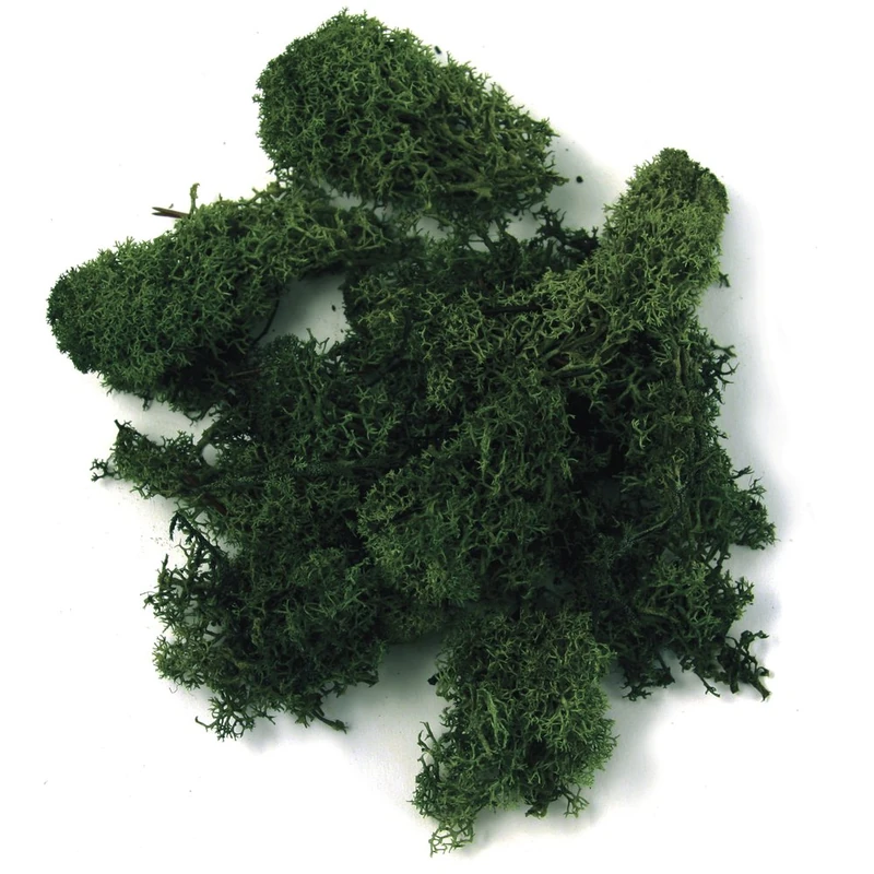 RAYHER HOBBY Natural Iceland Moss for Crafts, Decorative Green Moss for Wreath Making, Wall Art and Decoration, preserved, dark green, 1kg, 8500313