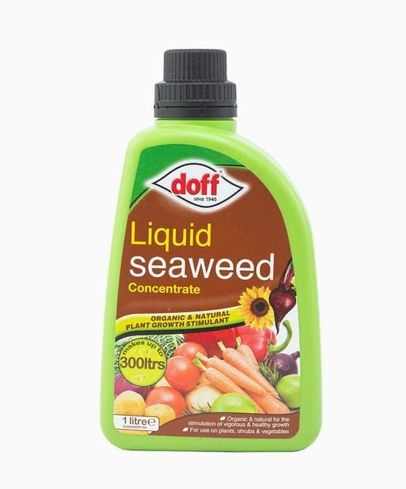 Doff Liquid Seaweed Concentrate – 1L Natural Fertiliser for Healthy Growth of Flowers, Fruit, Vegetables & Shrubs – Seaweed Plant Food – Encourages Root Development – Makes 300L Feed
