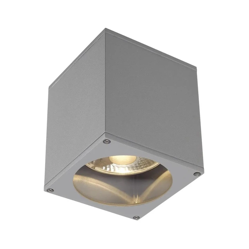 SLV Ceiling-Mounted Light Big Theo/Lighting for Walls, Paths, entrances, LED Spotlight Outdoor, Surface-Mounted Light Outdoor, Garden lamp, Ceiling Spotlight / GU10 IP44 75W Grey