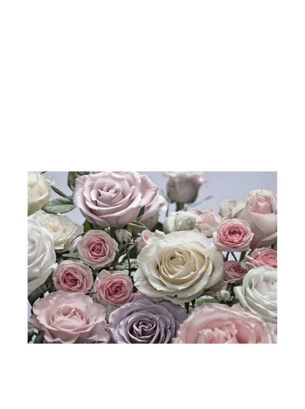 Komar 8-736 368 x 254 cm Floraison Rose Flower Floral Wallpaper Mural - Pink (Pack of 8)