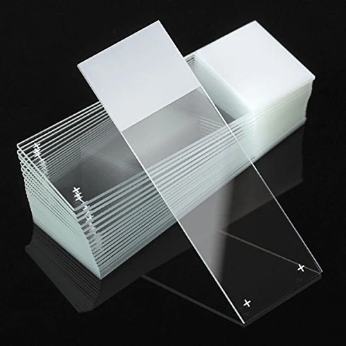 Globe Scientific Diamond Charged Microscope Slides, 1358W, White Frosted, Optical White Glass, Ground Edges, 90° Corners, 25mm x 75mm, Pre-Cleaned, 72/Box, 1440/CS
