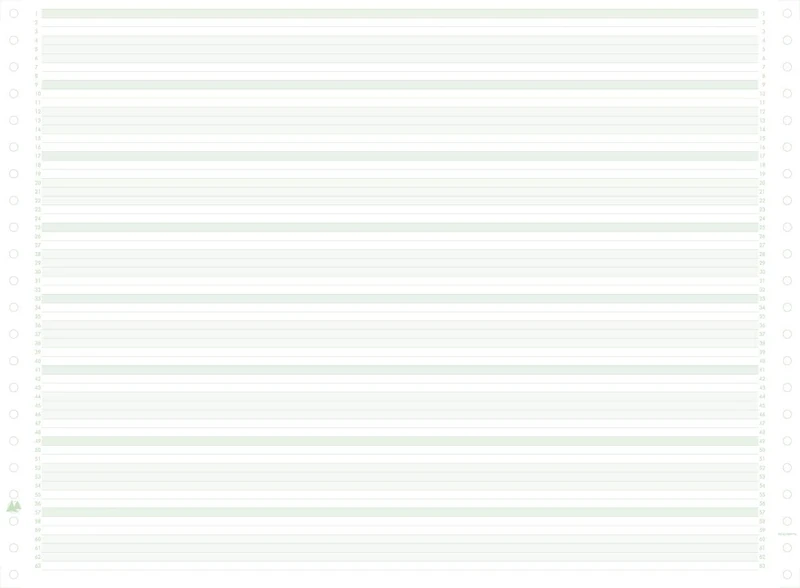 Exacompta 66311E Pack of 2000 Sheets of Computer Paper Endless 380 mm x 11 Inches (27.94 cm) 1-Ply 70 g/m² Lined Green / White