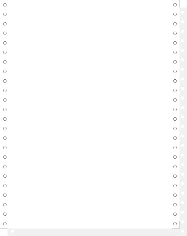 1000 feuilles de listing autocopiantes blanc 240x12" 2plis microperforations 4cotes bandes caroll de