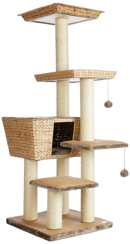 Nobby Cat-Scratcher Motega