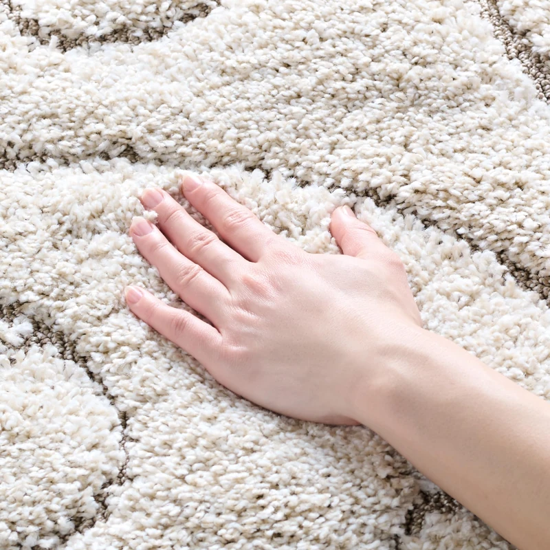 Safavieh Shaggy Indoor Woven Rectangle Area Rug, Florida Shag Collection, SG455, in Cream / Beige, 122 X 183 cm for Living Room, Bedroom or Any Indoor Space