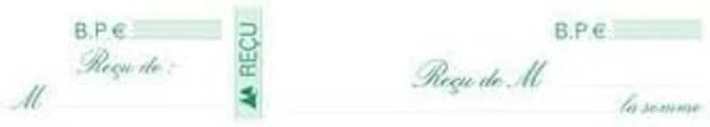 Exacompta - Ref. 25E - Pack of 10 receipt booklets - 50 sheets of non-magnetic check paper 95g/m2 Clairefontaine - Each sheet is pre-cut - horizontal format 105 x 270 mm