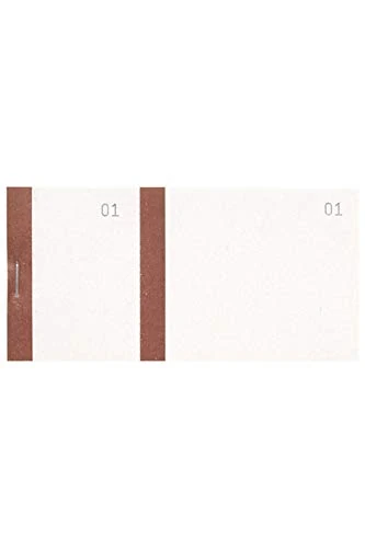 Exacompta - Ref 96301E - Box of 50 Vendor Blocks 100 Sheets Numbered from 1 to 100-2 Coupons 1 Detachable - for Kermesse, Lottery, Raffle - Format 6.5 x 13.5 cm - Color Strip - Bistre