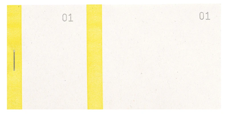 Exacompta - Ref 96303E - Box of 50 Vendor Blocks 100 Sheets Numbered from 1 to 100-2 Coupons 1 Detachable - for Kermesse, Lottery, Raffle - Format 6.5 x 13.5 cm - Color Strip - Yellow