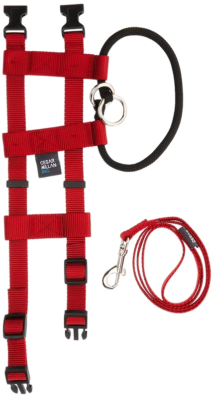 Original American Cesar Millan Illusion Collar Training Collar & Lead