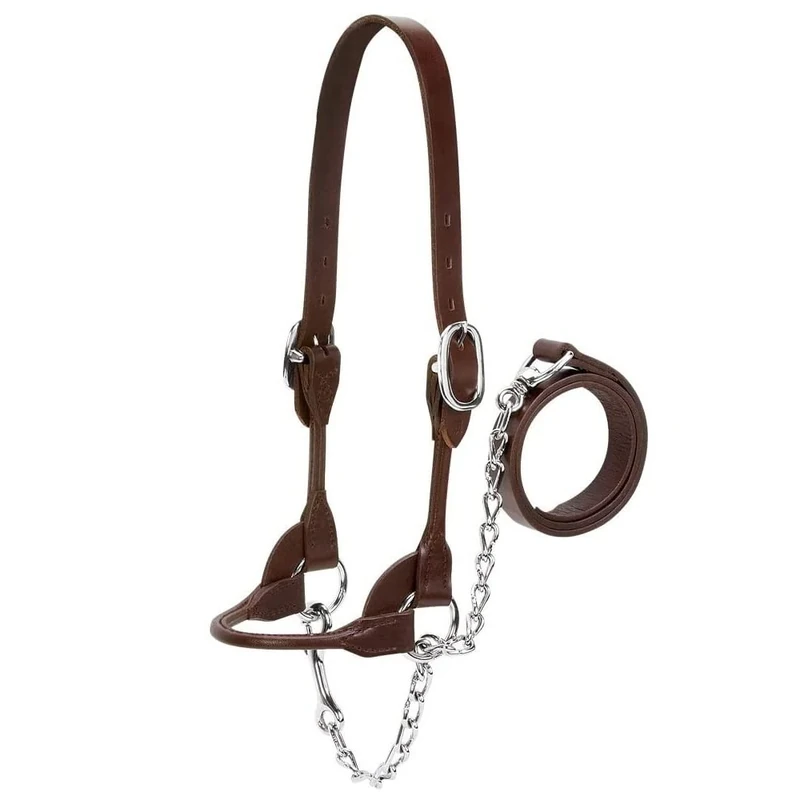 Weaver Leather Livestock Dairy/Beef Rounded Show Halter, Medium, Brown